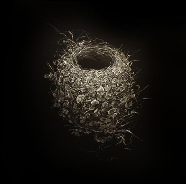 Mitchell Lonas 2015 Humming Bird Nest