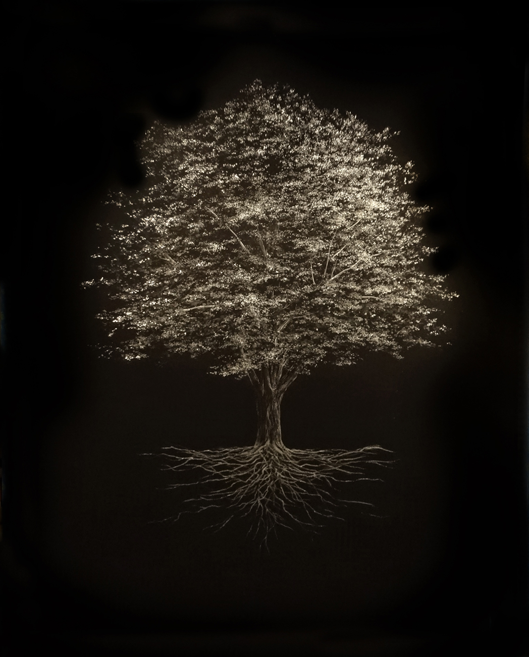 Mitchell Lonas - Tree on Metal 