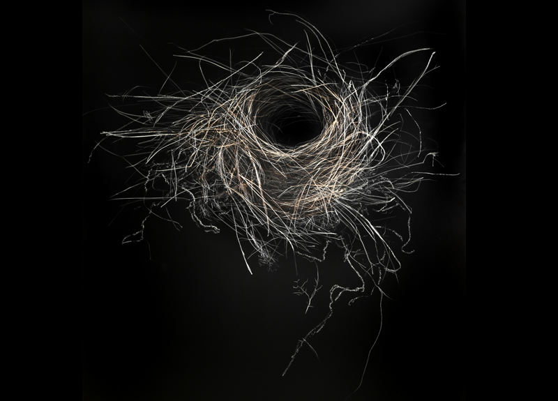 new-orleans-gallery-bird-nest-08