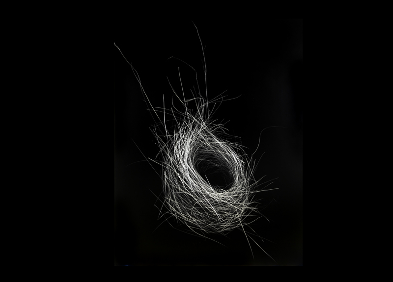new-orleans-gallery-bird-nest-09